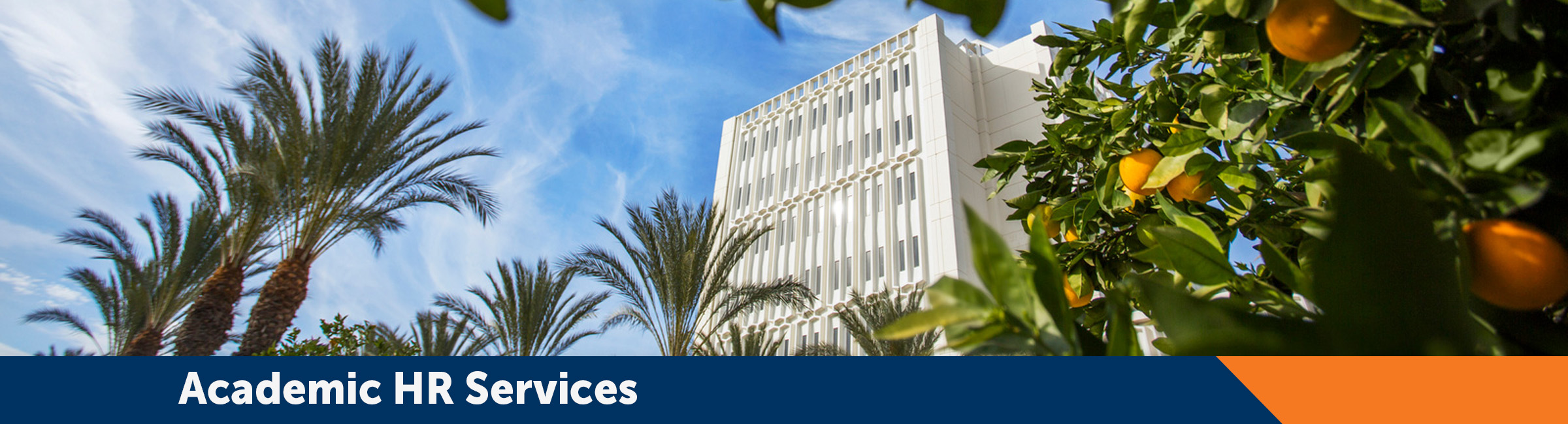 Page banner, decorative page element