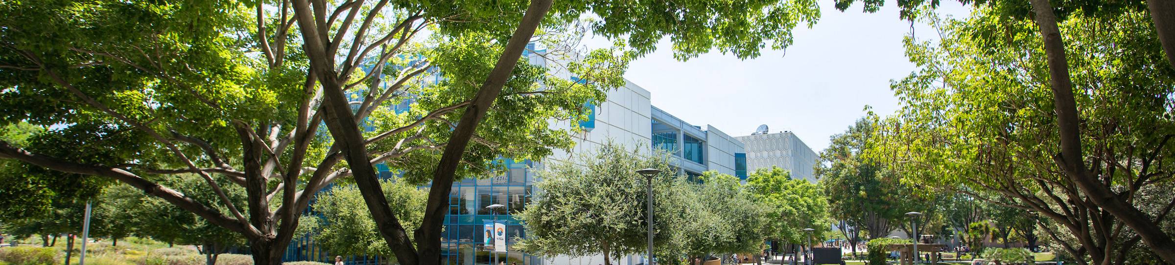 banner that shows Pollak Library, "Compensation Services"