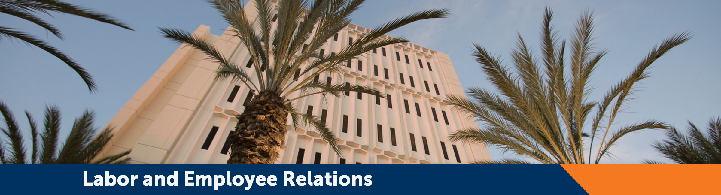 Page banner, decorative page element