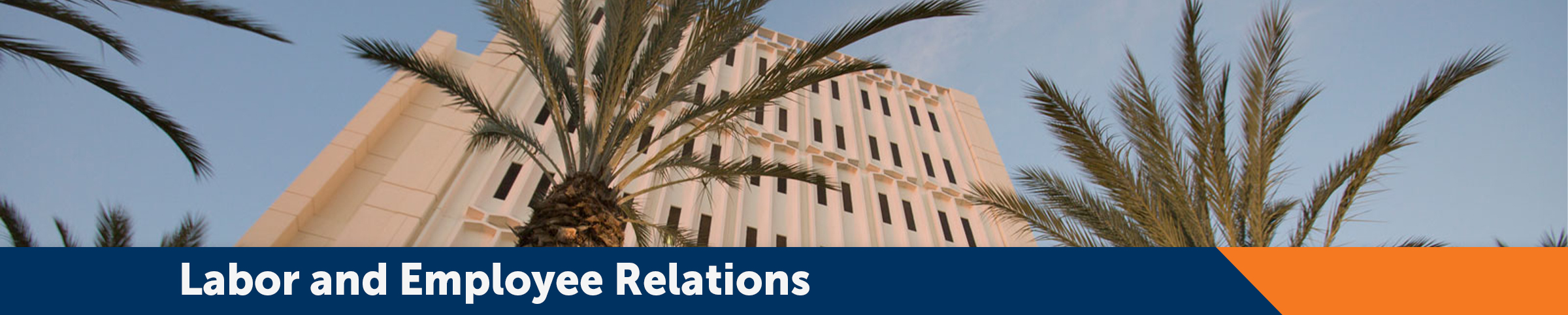 Page banner, decorative page element