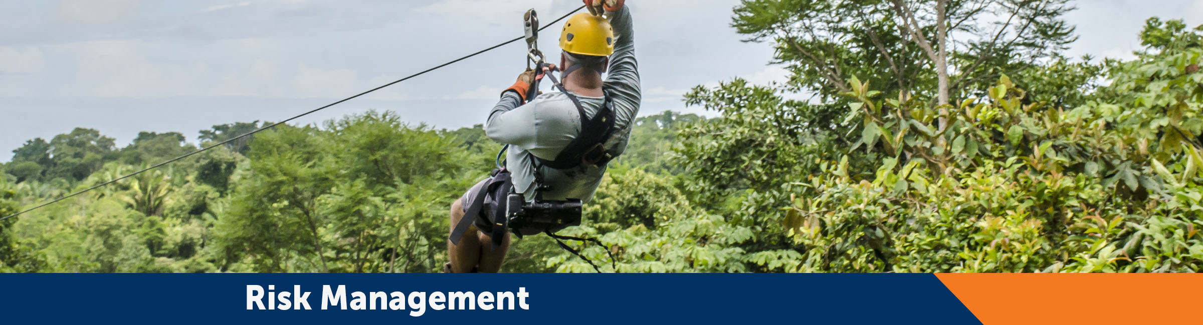 Risk Management Banner