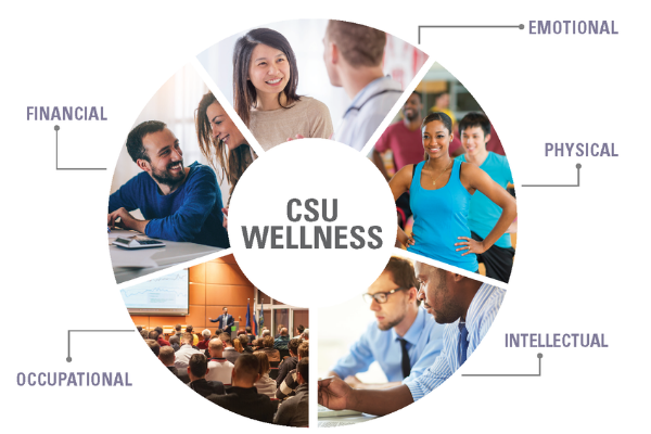 financial, occupational, intellectual, physical, and emotional wellness