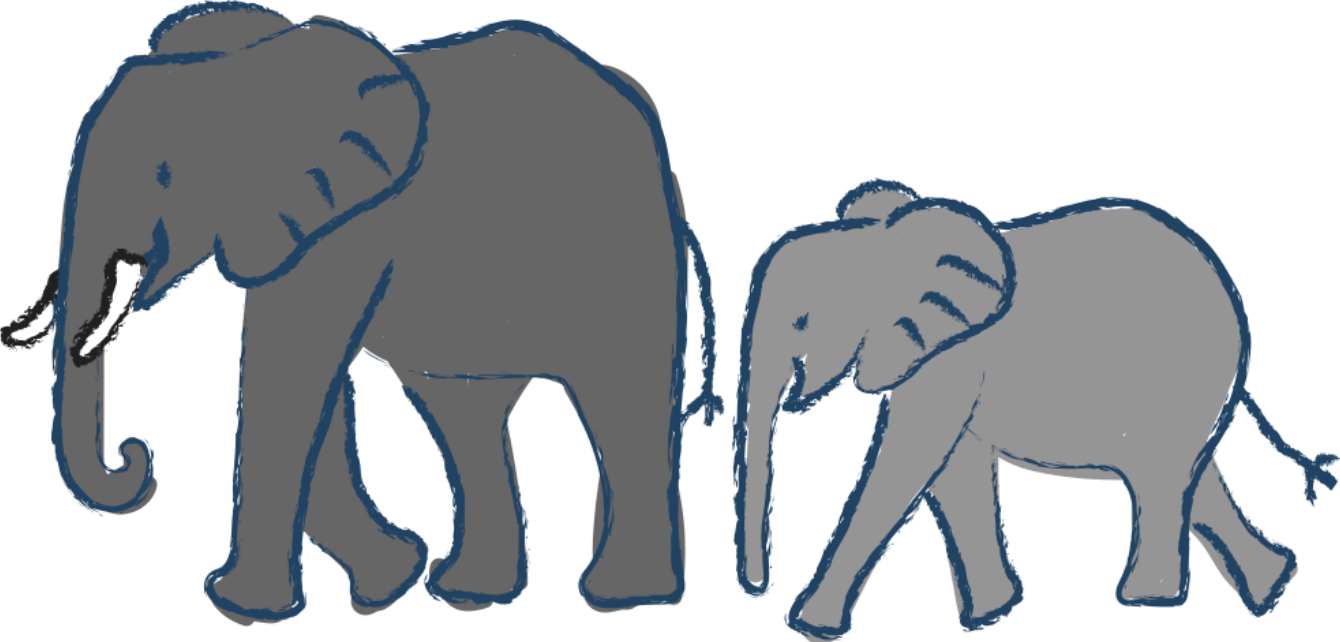 elephant and its calf