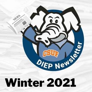 DIEP winter newsletter